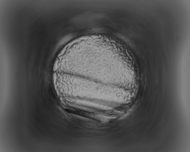 X0000086911405200705071254