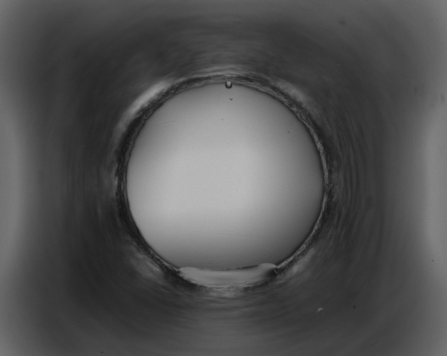 X0000086911406200705071254