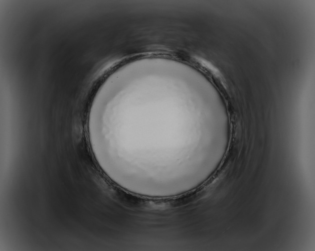 X0000086911407200705071254