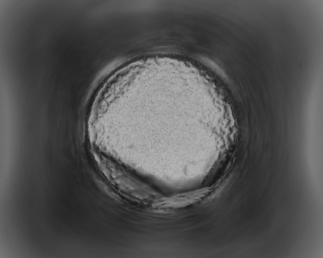 X0000086911413200705071254