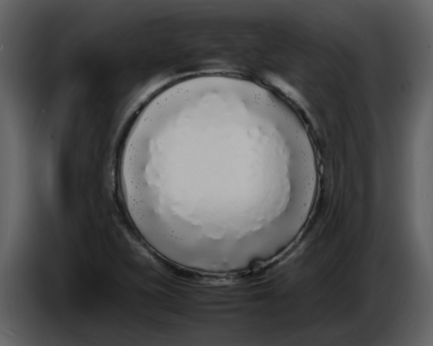 X0000086911415200705071254