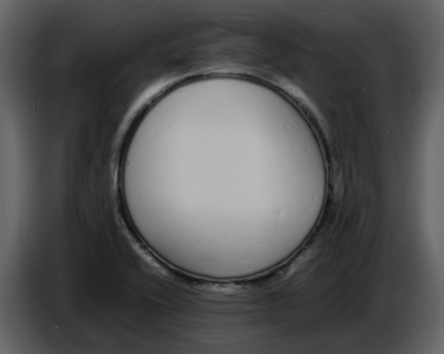 X0000086911416200705071254