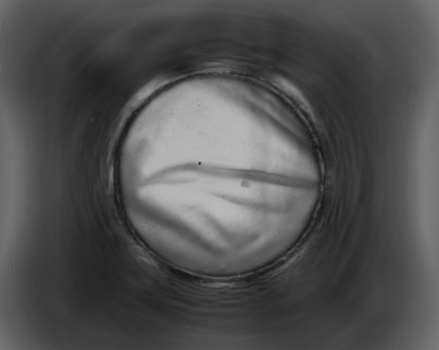 X0000086911419200705071254