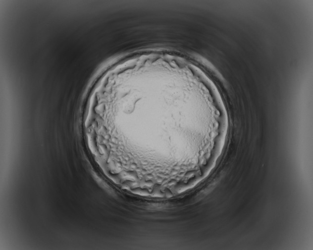 X0000086911421200705071254