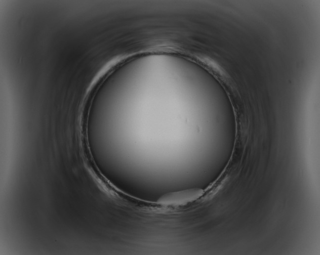 X0000086911422200705071254