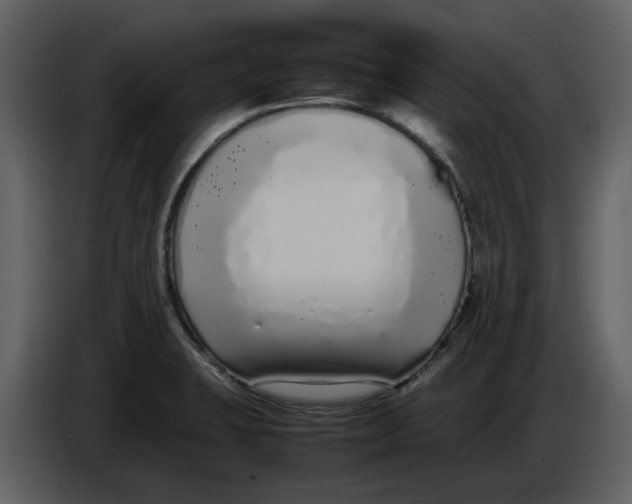 X0000086911423200705071254