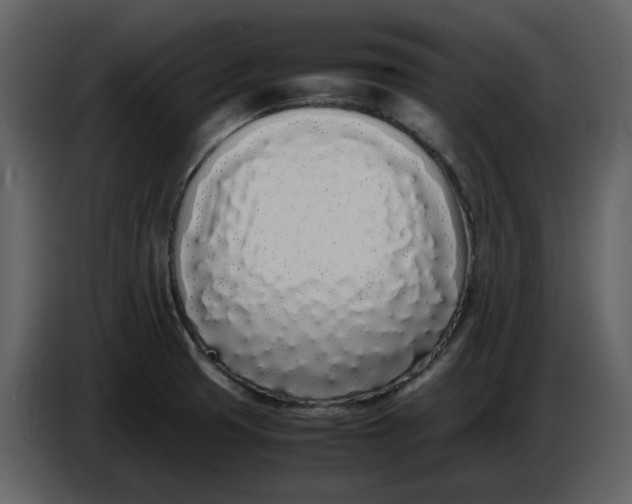 X0000086911425200705071254