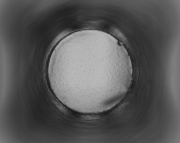 X0000086911427200705071254