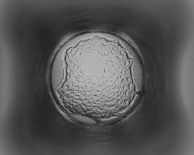 X0000086911429200705071254