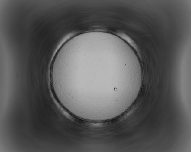 X0000086911431200705071255