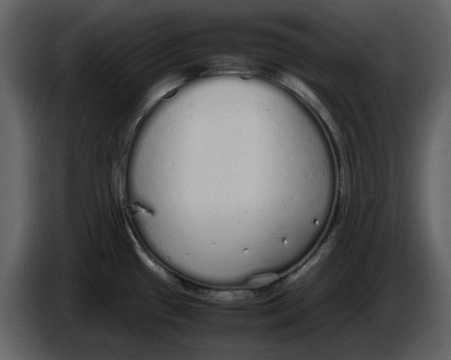 X0000086911433200705071255