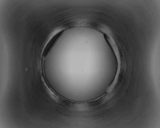 X0000086911434200705071255