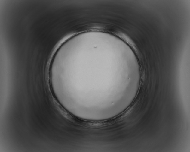 X0000086911435200705071255