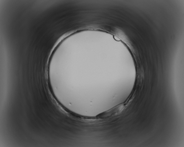 X0000086911436200705071255