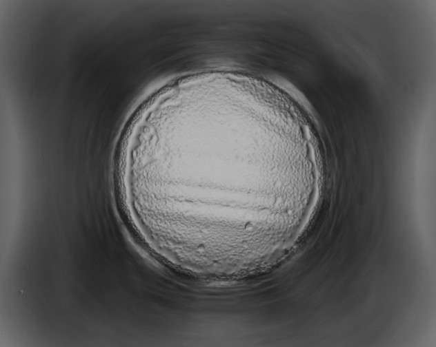 X0000086911439200705071255