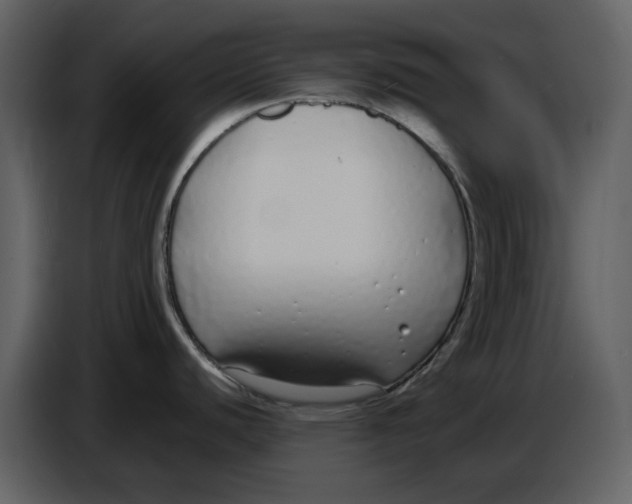 X0000086911440200705071255