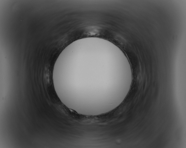 X0000086911442200705071254