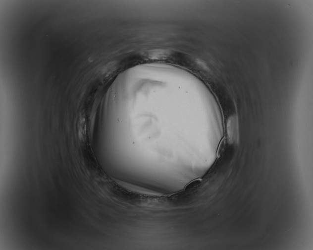 X0000086911443200705071254