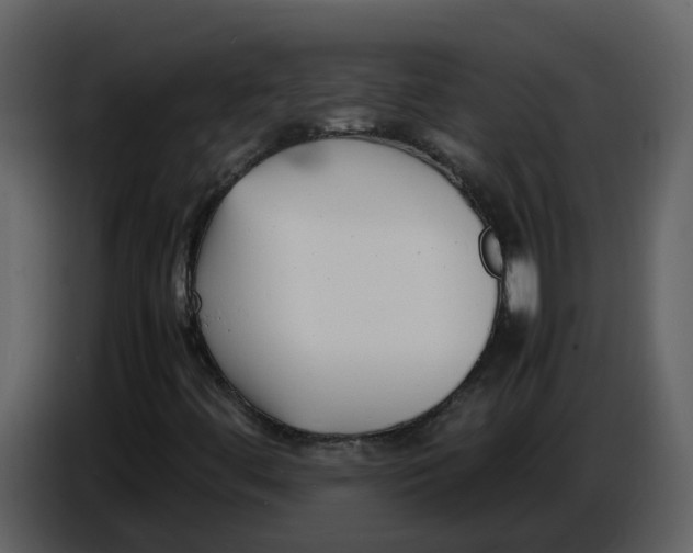 X0000086911444200705071254