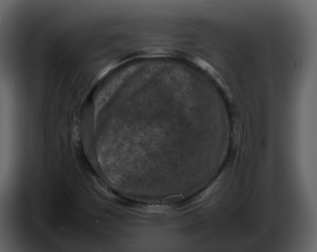 X0000086911449200705071254