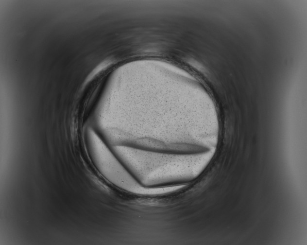 X0000086911450200705071254