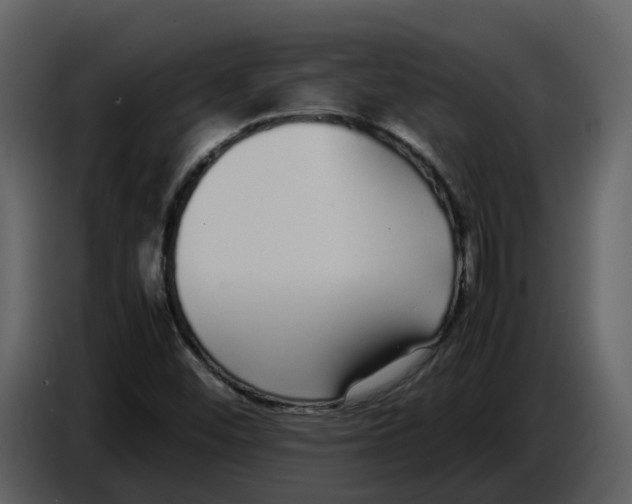 X0000086911452200705071254