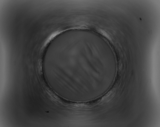 X0000086911455200705071254