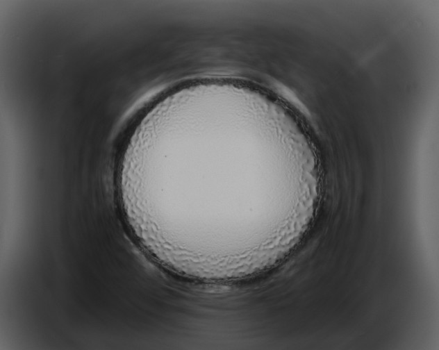 X0000086911456200705071254