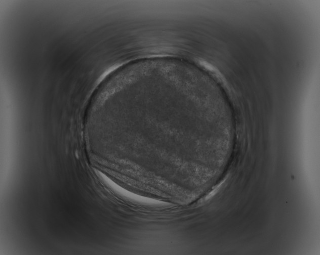 X0000086911457200705071254