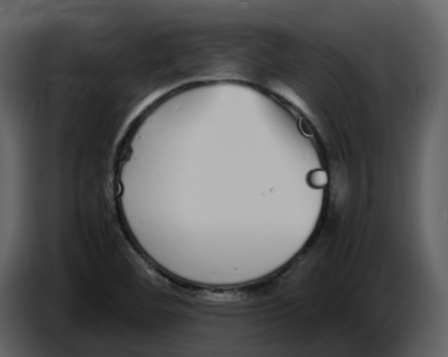 X0000086911460200705071254