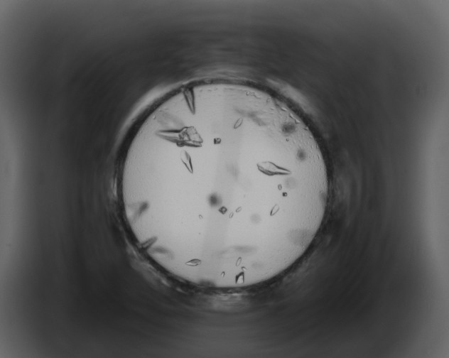 X0000086911462200705071254