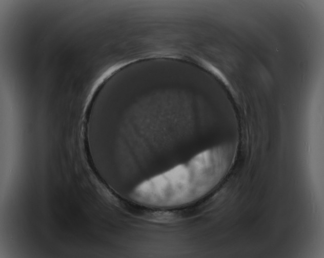 X0000086911463200705071254