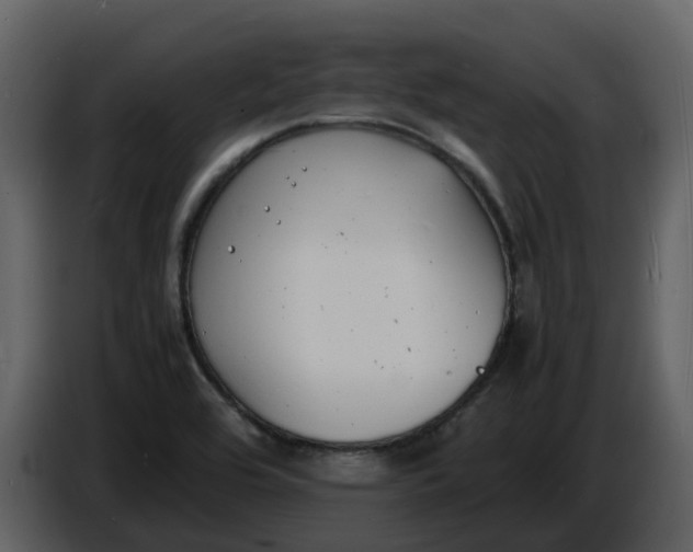 X0000086911464200705071254