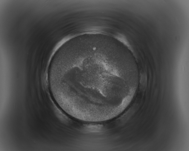 X0000086911466200705071254