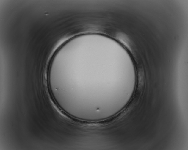 X0000086911468200705071254