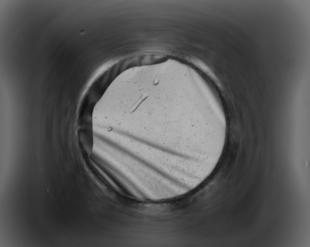 X0000086911469200705071254