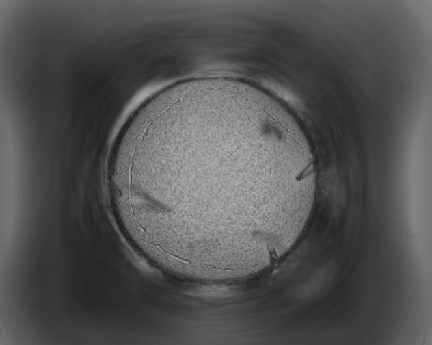 X0000086911470200705071254