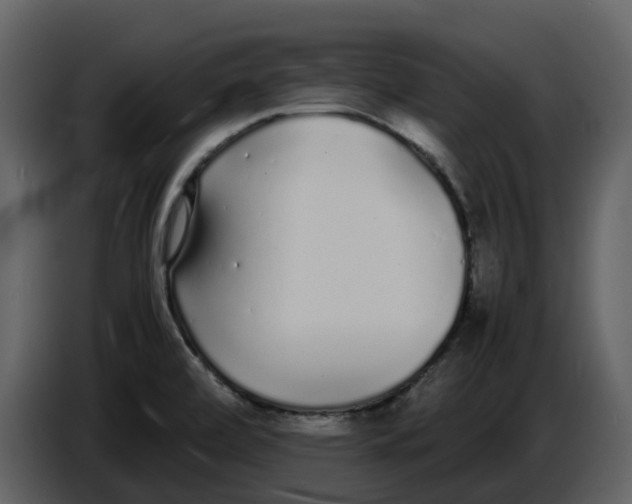 X0000086911472200705071254