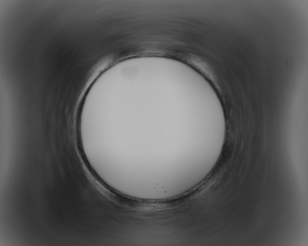 X0000086911475200705071254