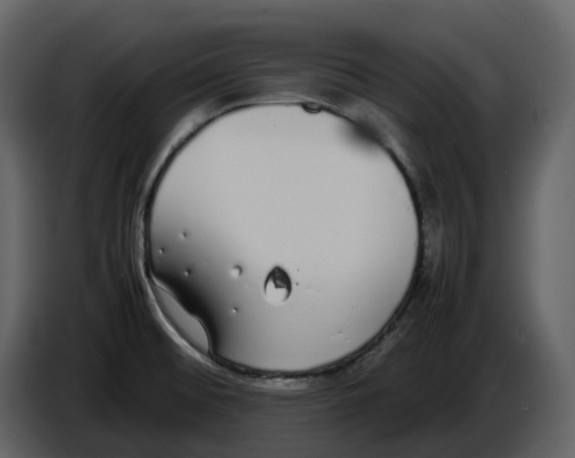 X0000086911476200705071254