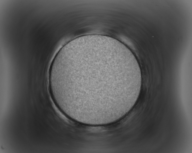 X0000086911479200705071254