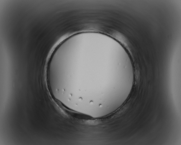 X0000086911480200705071254