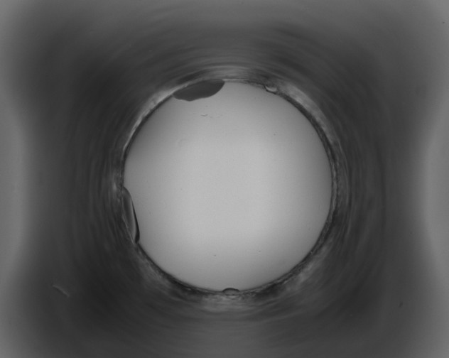 X0000086911481200705071253