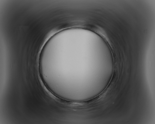 X0000086911483200705071253