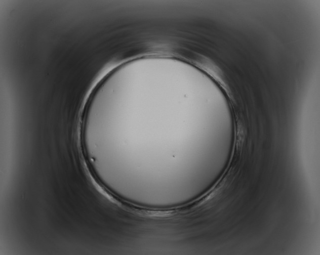 X0000086911484200705071253