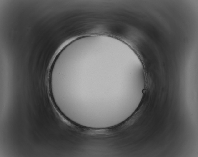 X0000086911486200705071253