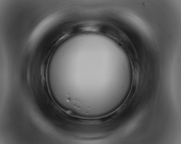 X0000086911487200705071253