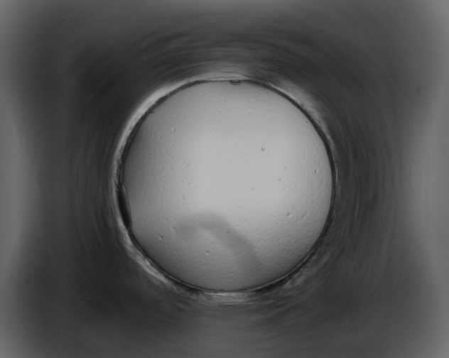 X0000086911488200705071253