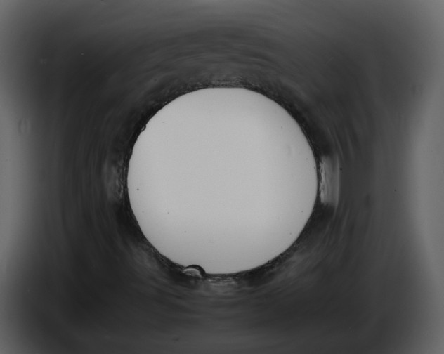 X0000086911491200705071253