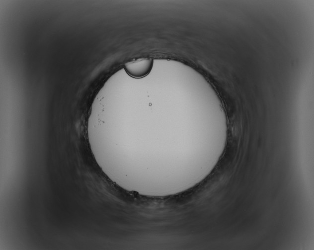 X0000086911495200705071253